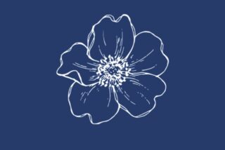 White floral line art on a deep blue background, depicting a detailed flower with five petals and intricate central pattern. Elegant and minimalist.