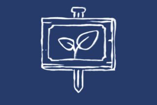 A simple white line drawing on a blue background depicts a frame with a plant sprout inside, symbolizing growth and creativity.