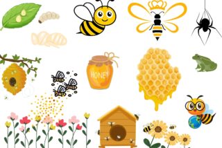 A colourful illustration featuring bees, honey, a beehive, flowers, and a frog, representing nature and pollination themes.